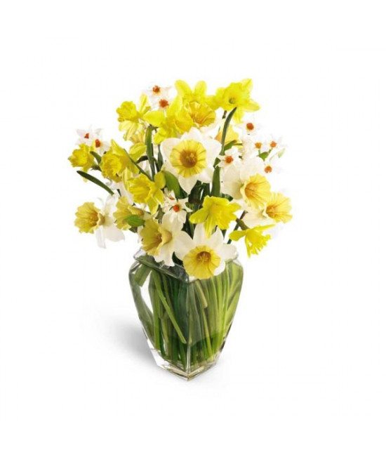 The Colors of Spring Bouquet The Colors of Spring Bouquet